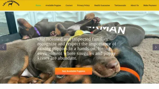A screenshot of Levidoberman.com