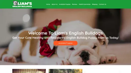 A screenshot of Liamsenglishbulldogs.com