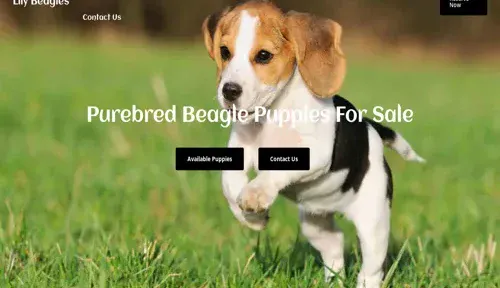 A screenshot of Genlanfamilystbernard.com