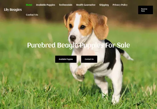 is lilybeagles.com legit? screenshot