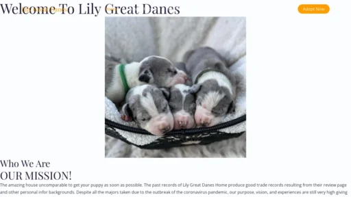 A screenshot of Lilygreatdanes.com