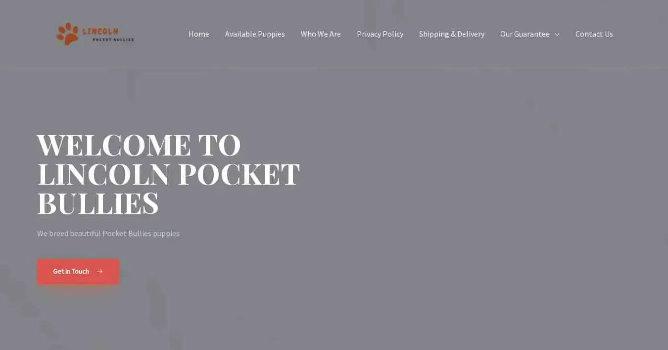 is lincolnpocketbullies.com legit? screenshot