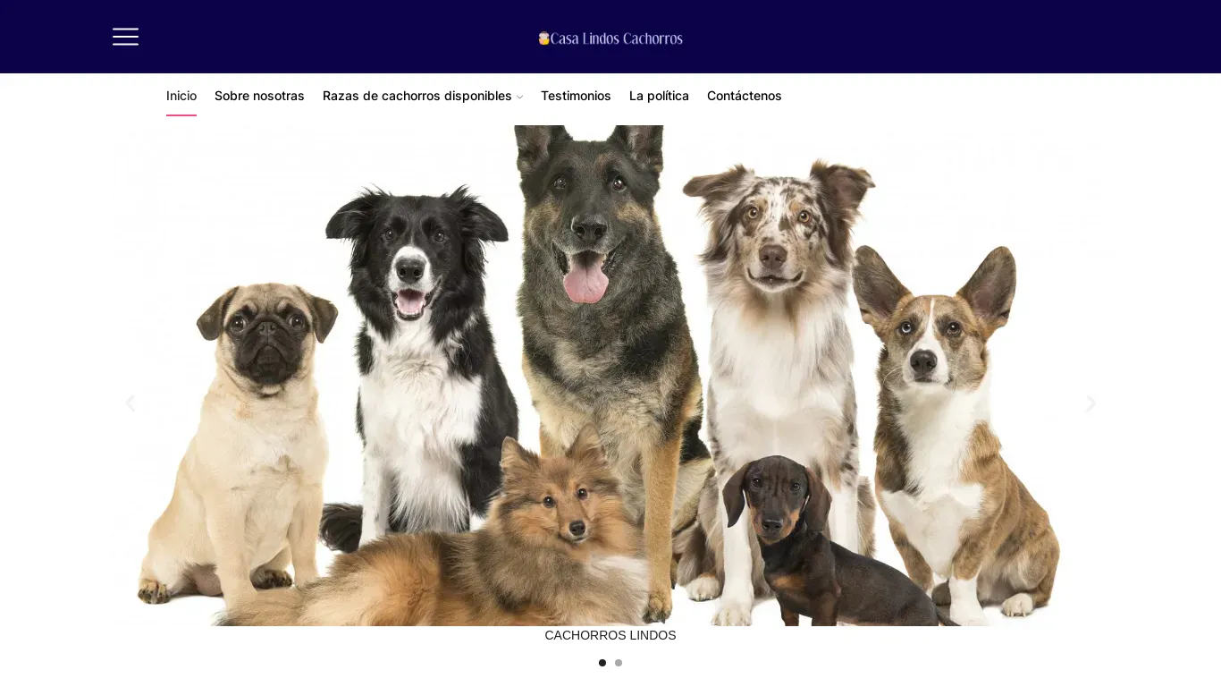 is lindoscachorro.com legit? screenshot