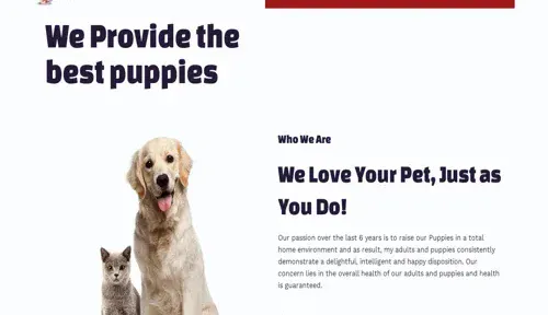 A screenshot of Genlanfamilystbernard.com