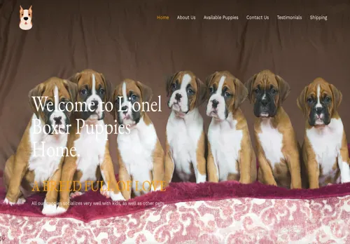 is lionelboxers.com legit? screenshot