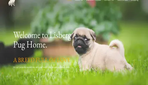 A screenshot of Genlanfamilystbernard.com