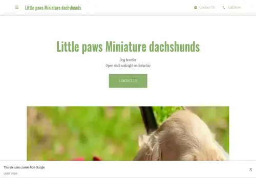 is littlepawsminiaturedachshunds.com legit? screenshot