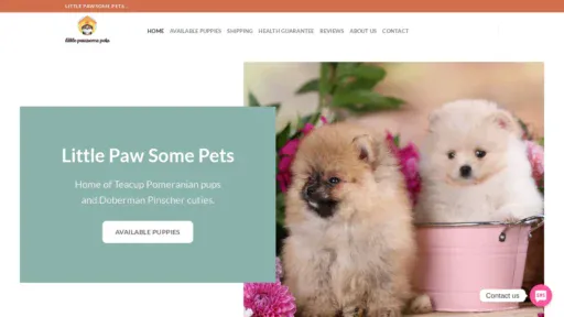A screenshot of Littlepawsomepets.com