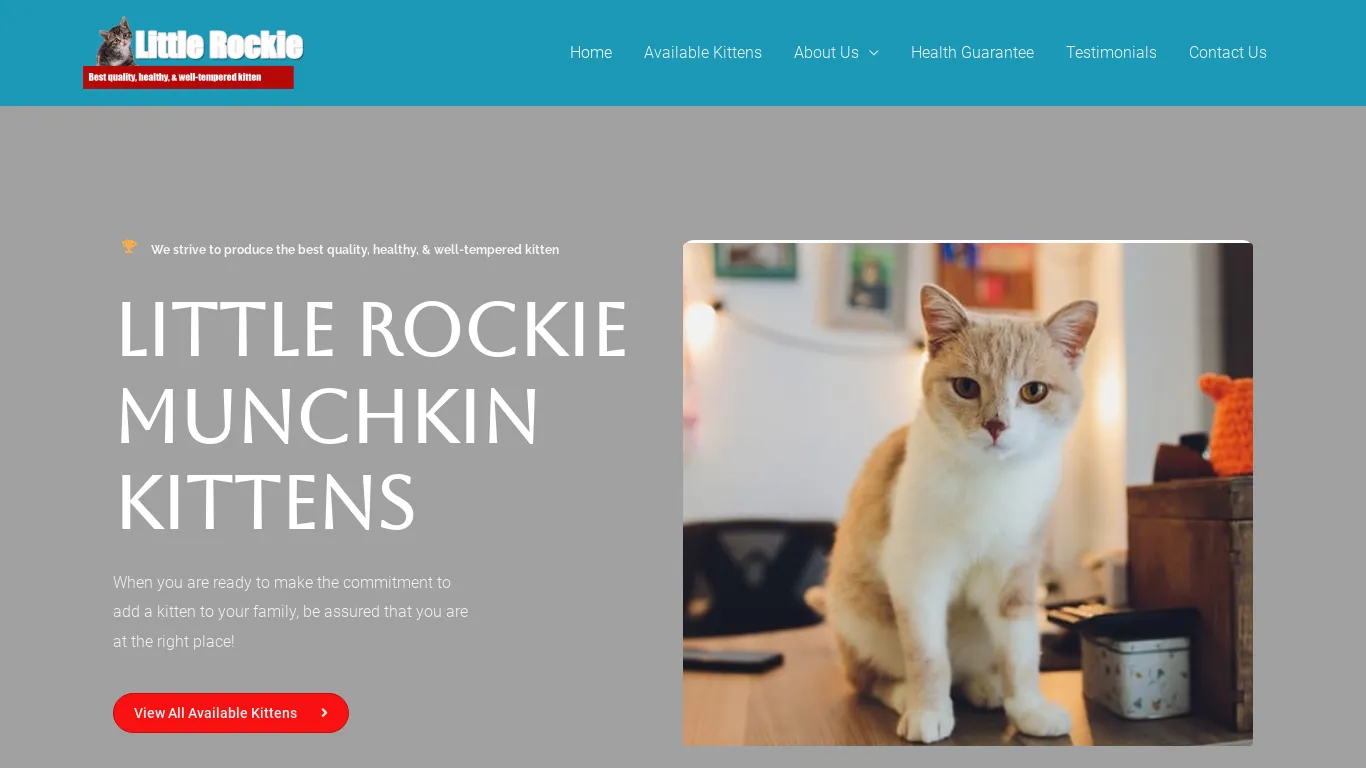 is littlerockiemunchkincattery.com legit? screenshot