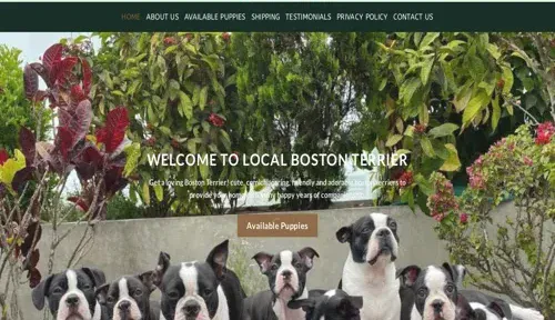 A screenshot of Genlanfamilystbernard.com