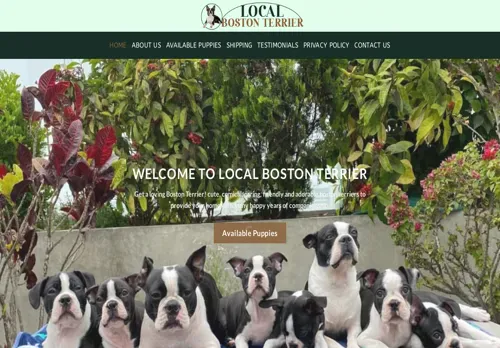 is localbostonterrier.com legit? screenshot
