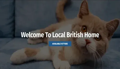 A screenshot of Genlanfamilystbernard.com