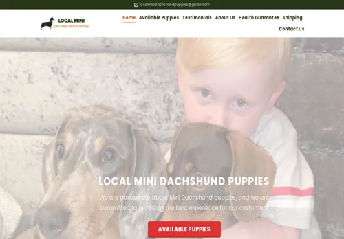 is localminidachundpuppies.com legit? screenshot