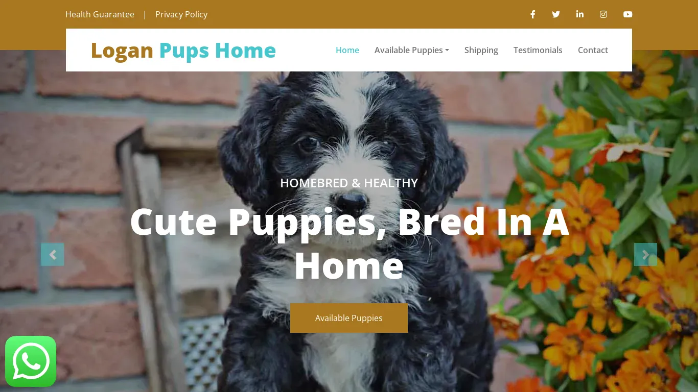 is Logan Pups Home - Homebred Cute Puppies For Sale legit? screenshot