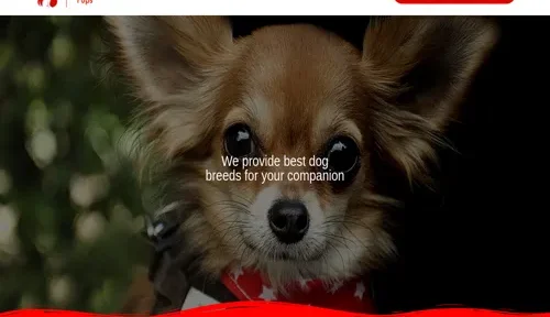 A screenshot of Genlanfamilystbernard.com