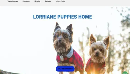 A screenshot of Genlanfamilystbernard.com