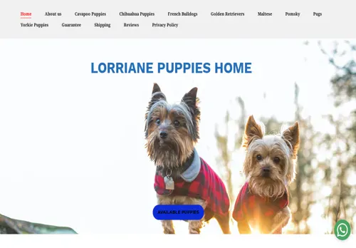 is lorriaineshome.co.za legit? screenshot