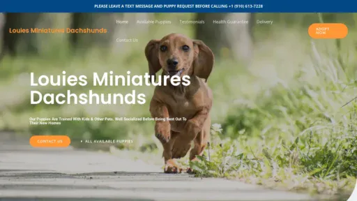 A screenshot of Louiesminiaturesdachshunds.com