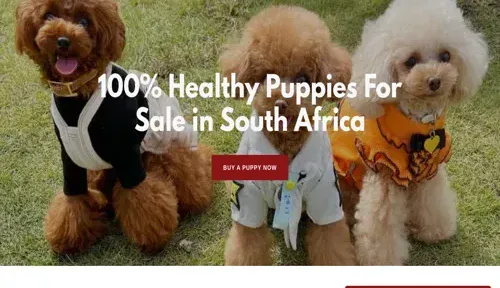 A screenshot of Genlanfamilystbernard.com
