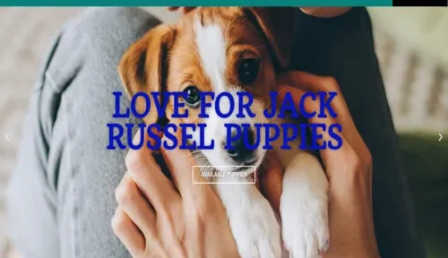A screenshot of Genlanfamilystbernard.com