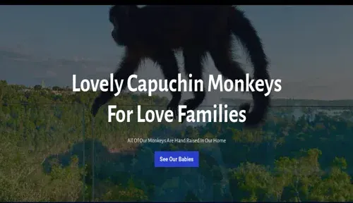 A screenshot of Genlanfamilystbernard.com