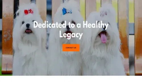 A screenshot of Genlanfamilystbernard.com