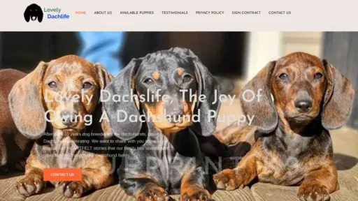 A screenshot of Lovelydachiepups.com