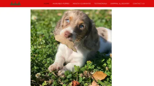 A screenshot of Lovelydachshundpuppies.online
