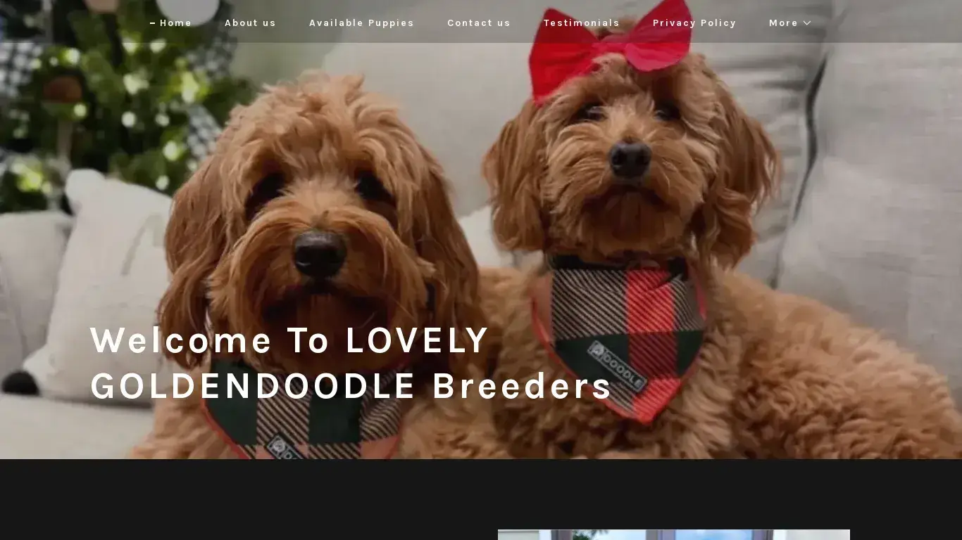 is Lovely Goldendoodles Puppies legit? screenshot