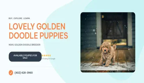 A screenshot of Genlanfamilystbernard.com