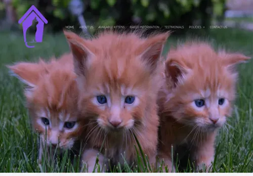 is lovelymainecoonshome.com legit? screenshot