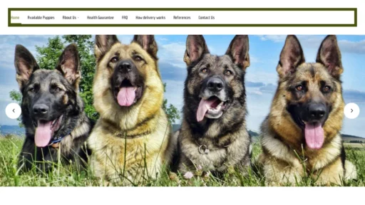 A screenshot of Lovemountaingermanshepards.com