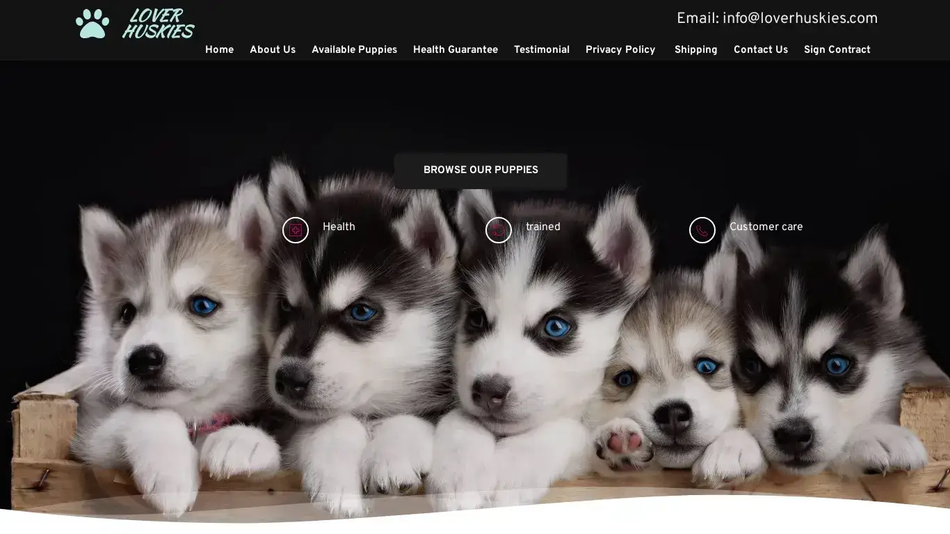 is loverhuskies.com – Healthy  Husky puppies For Sale legit? screenshot