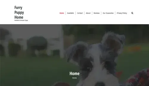 A screenshot of Genlanfamilystbernard.com