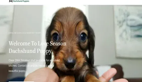 A screenshot of Genlanfamilystbernard.com