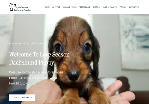is loveseasondachshundpups.com legit? screenshot