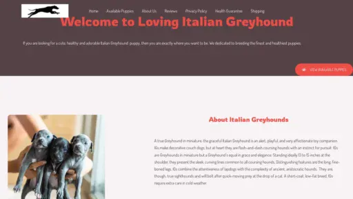 A screenshot of Lovingitaliangreyhoundpups.com