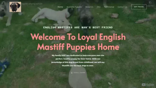 A screenshot of Loyalenglishmastiffpups.com
