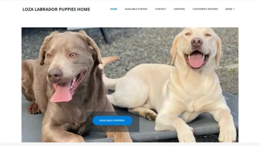 A screenshot of Lozalabradorretriever.us