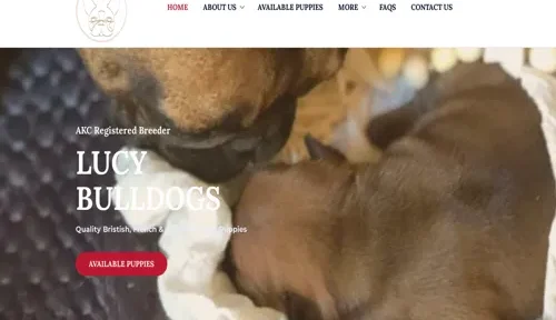 A screenshot of Genlanfamilystbernard.com