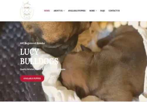 is lucibulldogs.sitebeat.crazydomains.com legit? screenshot