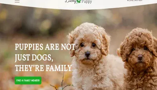 A screenshot of Genlanfamilystbernard.com
