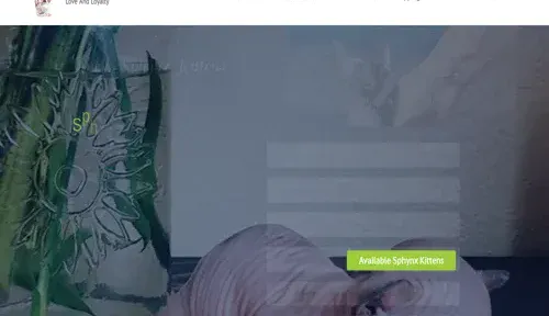 A screenshot of Genlanfamilystbernard.com