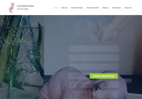 is luckyspyhnxkittens.com legit? screenshot