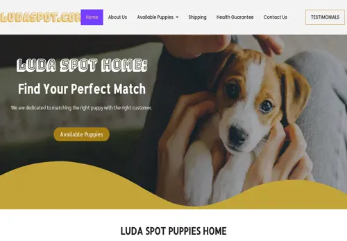 is ludaspot.com legit? screenshot