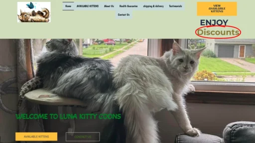 A screenshot of Lunacoons.com