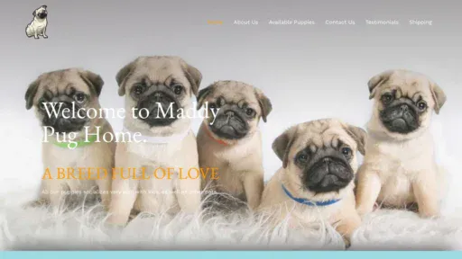 A screenshot of Maddypugpuppies.com