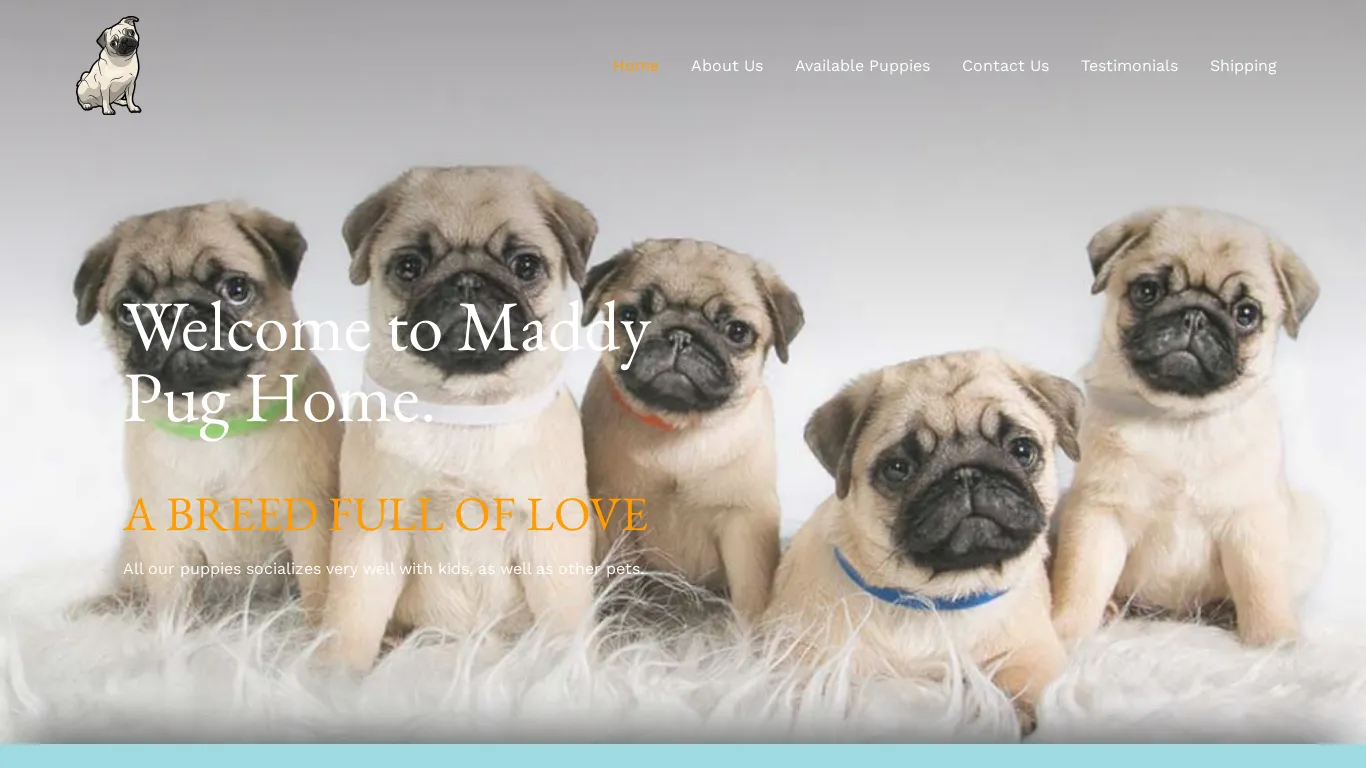 is maddypugpuppies.com legit? screenshot