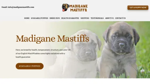 A screenshot of Madiganemastiffs.com