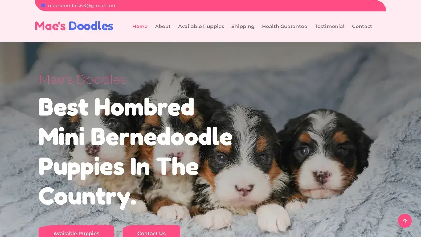 is Mae's Doodles - Homebred Mini Bernedoodle Puppies For Sale legit? screenshot